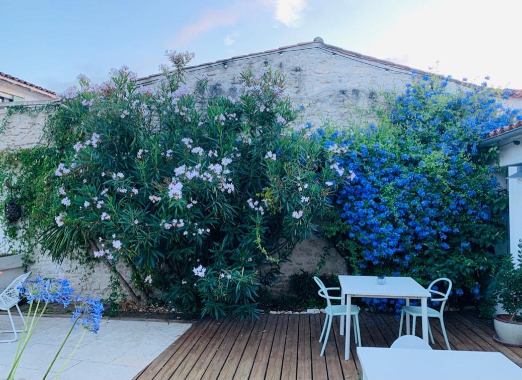Maison Face Au Soleil Le Bois-Plage-en-Ré Dış mekan fotoğraf